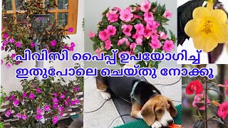 PVC Pipe Garden IdeasAchimenes plant Care and PropogationHanging plantsSalu koshy [upl. by Jamey775]