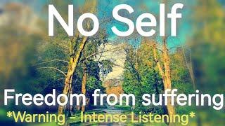 No Self  Freedom from Suffering [upl. by Ajam]