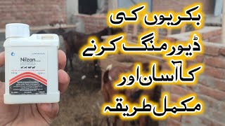 deworming for goats  bakri ki deworming Karne ka tarika  بکریوں کی ڈیورمنگ کا طریقہ  Bakriwala [upl. by Findlay]