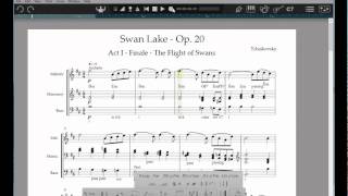 IMSLP Use amp Swan Lake Act I Finale Analysis [upl. by Hercule447]