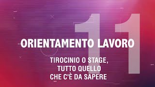 Tirocinio o stage tutto quello che cè da sapere [upl. by Irolav782]