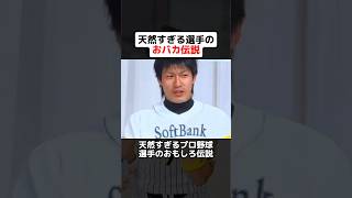 天然すぎるプロ野球選手のおもしろ伝説 野球ネタ プロ野球 柳田悠岐 長嶋一茂 井川慶 三浦大輔 元木大介 糸井嘉男 [upl. by Anivek]