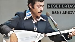 Neşet Ertaş  Seyran Yeri  En Güzel Versiyonu [upl. by Bartolemo]