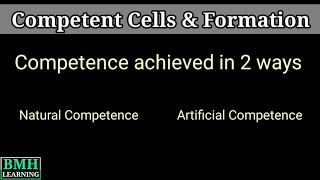 Competent Cells  Preparation Of Competent Cells  Competent Cell Transformation [upl. by Atnom]