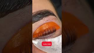 Lash lift tutorial beautiful beauty lashes lashlift shorts youtubeshorts shannonboyleart [upl. by Nnahoj941]