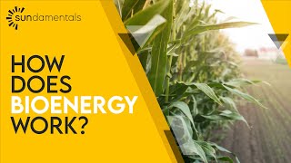 What is Bioenergy [upl. by Mannos]