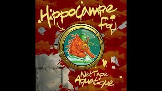 HIPPOCAMPE FOU  New York feat Luciole  2011 [upl. by Frey]