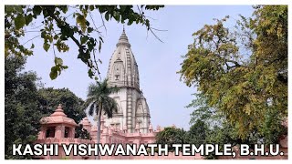 Kashi Vishwanath Mandir BHU  Varanasi  Asvi Siya [upl. by Animaj158]