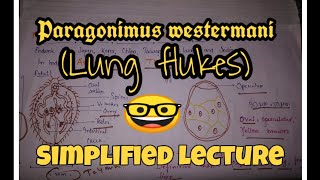 Paragonimus westermani  Lung fluke  Hindi  Parasitology  Microbiology [upl. by Hegyera]