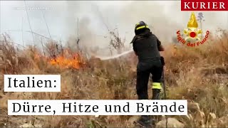 Hitzewelle in Italien Waldbrände und Trockenheit bedrohen Menschen und Ernte [upl. by Cornel]