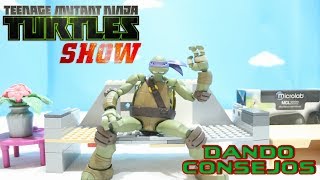 TORTUGAS NINJA show Dando consejos  stop motion  parodia  animacion  tmnt  corto [upl. by Enail183]