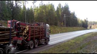 Scania 164 Timber truck [upl. by Hsotnas374]