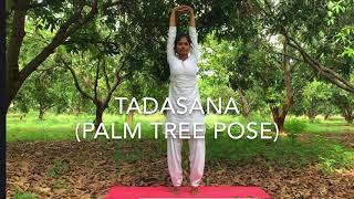 How to do Tadasana step by step in telugu  yoga for height growth  palm tree pose [upl. by Saffier]