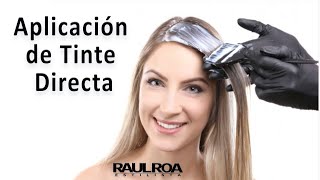 Aplicación de Tinte Directa RAUL ROA ESTILISTA [upl. by Haneehs]