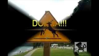 Please Move Deer Crossing Sign Part 2Donna The Deer Lady [upl. by Simpkins]