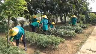 KEGIATAN IBU  IBU PERSIT YONKES 2 KOSTRAD DALAM MEMANFAATKAN LAHAN TIDUR [upl. by Nekial]