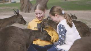 Visit Ballarat Ballarat Wildlife Park [upl. by Novak216]