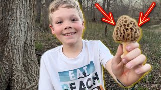 Morel Mushroom Hunting Catch Clean and Cook [upl. by Orlando]