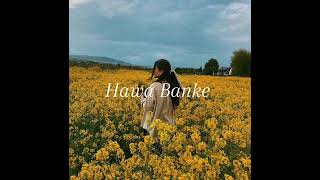 HAWA BANKE song  Slowed Reverb  iBeyond [upl. by Ahkihs]