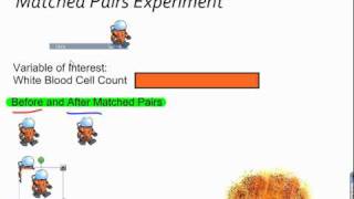 Matched Pairs Experiment [upl. by Nnaear]