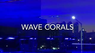 Welcome To The Wave Corals YouTube Channel [upl. by Anade]