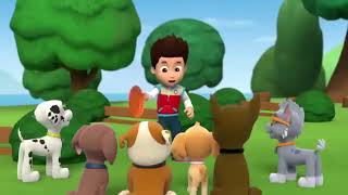 Pups save the Jungle with Tracker and Carlos  PAW Patrol  Cartoons for Kids Compilation [upl. by Ylrak]