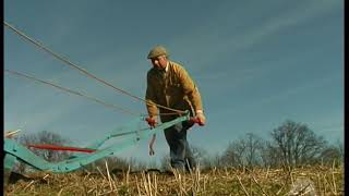 Horses Ploughing with Roger Clark in Suffolk England 1998 [upl. by Er]