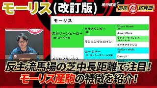 【モーリス改訂版】 繁殖牝馬のラインナップが大幅強化！ これからも注目！ [upl. by Aicul]