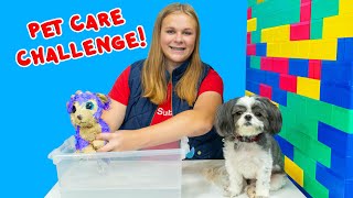 Wiggles and Waggles Pet Care Challenge with the Assistant [upl. by Ttevy]