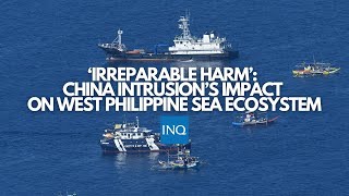 ‘Irreparable harm’ China intrusion’s impact on West Philippine Sea ecosystem [upl. by Halehs153]