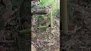 bamboo bushcraft bamboe [upl. by Rahcir352]