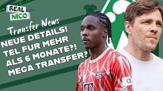 Tel Transfer neue Details  Kommt es zum Mega Transfer [upl. by Sylvanus]