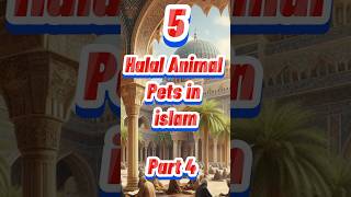 5 halal animal pets in Islam part 4 mashallah animals pets islam yaallah mashallah short [upl. by Drofniw]