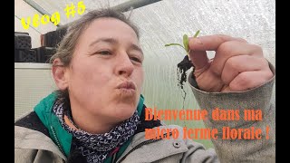 Vlog 5 Comment repiquer et rempoter avancée des floraisons au jardin et petit tour à la pépinière [upl. by Gratt]