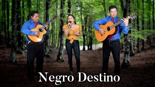 Negro Destino  Pasillo  Judith Silva [upl. by Caresse]