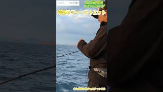 【ライトジギング】北九州白島沖で釣れたファーストヒットの魚。 [upl. by Aehtna]