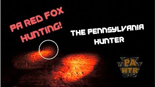 PA Red Fox Hunting [upl. by Gnemgnok]