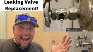 How to Replace a Leaking Shutoff Valve Under a Sink [upl. by Annerb12]