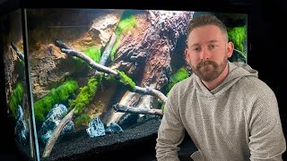 NEW 90 GALLON TANK for My Jack Dempsey Cichlids [upl. by Sofer]