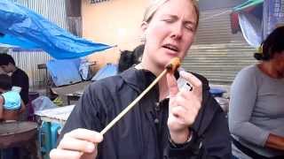 Roasted Palm Weevil An Amazon Delicacy [upl. by Kcaj]