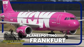 Planespotting Frankfurt Airport  August 2016  Teil 1 [upl. by Aneram]