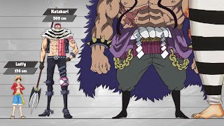 One Piece Size Comparison PostTimeskipPart2 [upl. by Ocirderf511]