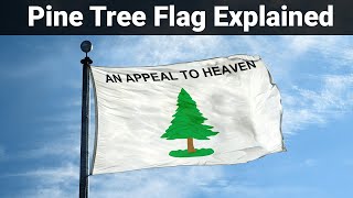 The Appeal to Heaven Flag Explained  Flag Facts [upl. by Eelloh640]