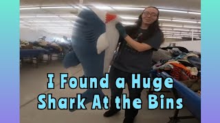 I Found a Huge Shark At the Bins [upl. by Hanauq]