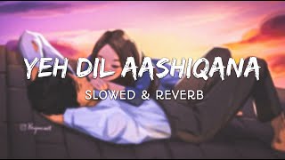 Yeh Dil Aashiqana  Slowed And Reverb  Bollywood LoFi Songs [upl. by Ferri683]