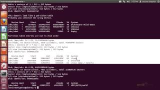 Ubuntu 1204 Forensics  Listing Disks With FDISK [upl. by Hassi601]