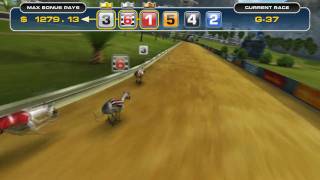 Triple Towers Virtual Greyhound Racing  wwwsolidiconcom [upl. by Abott]