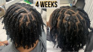 First Retwist on TwoStrand Twist Starter Locs  Talk Through  Technique  Loctician [upl. by Grimonia]