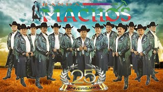 Banda Machos  Puras Rancheras Mix [upl. by Adnyleb]