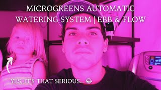 Microgreens Automatic Watering System Ebb amp Flow Setup  Green Belt Farms 🌱 [upl. by Eelrahc931]